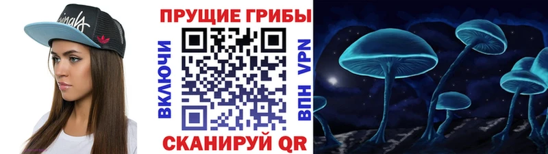 Купить где  Михайловск  Галлюциногенные грибы ЛСД 