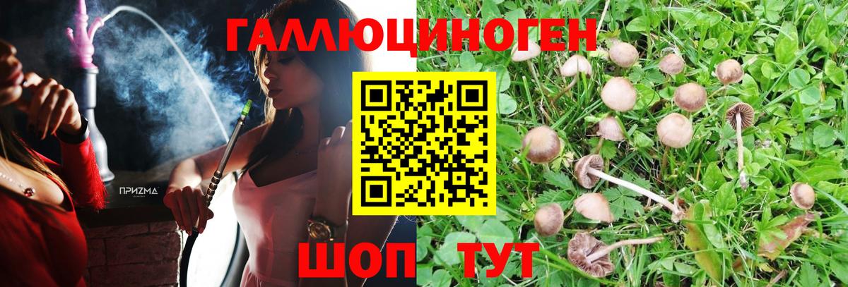 Михайловск  Галлюциногенные грибы Psilocybine cubensis  Псилоцибиновые грибы MAGIC MUSHROOMS  Вход с VPN 