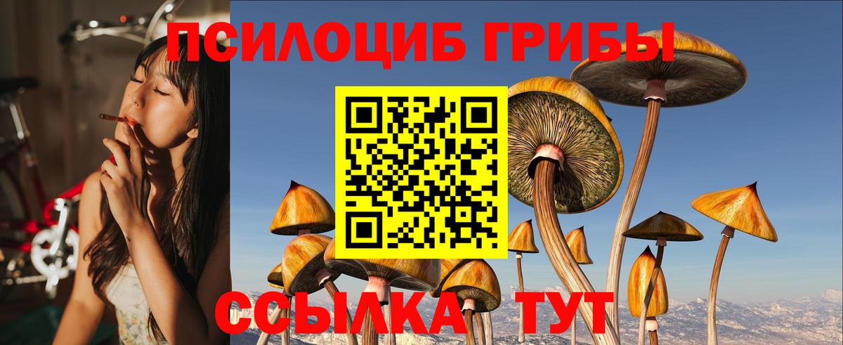 Псилоцибиновые грибы Magic Shrooms Михайловск